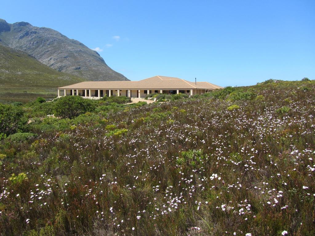 Kapensis Guesthouse Pringle Bay Extérieur photo