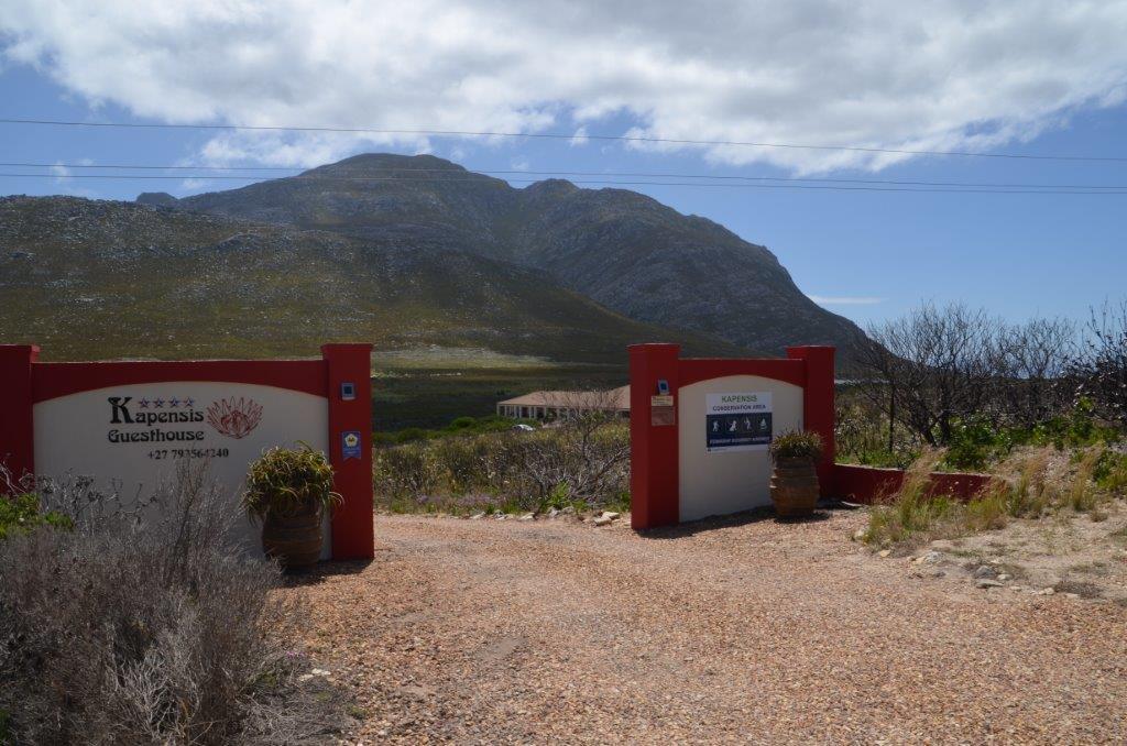 Kapensis Guesthouse Pringle Bay Extérieur photo