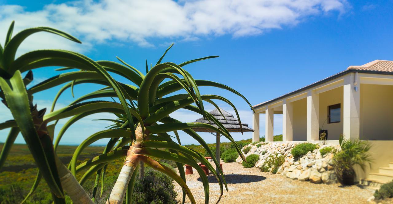 Kapensis Guesthouse Pringle Bay Extérieur photo